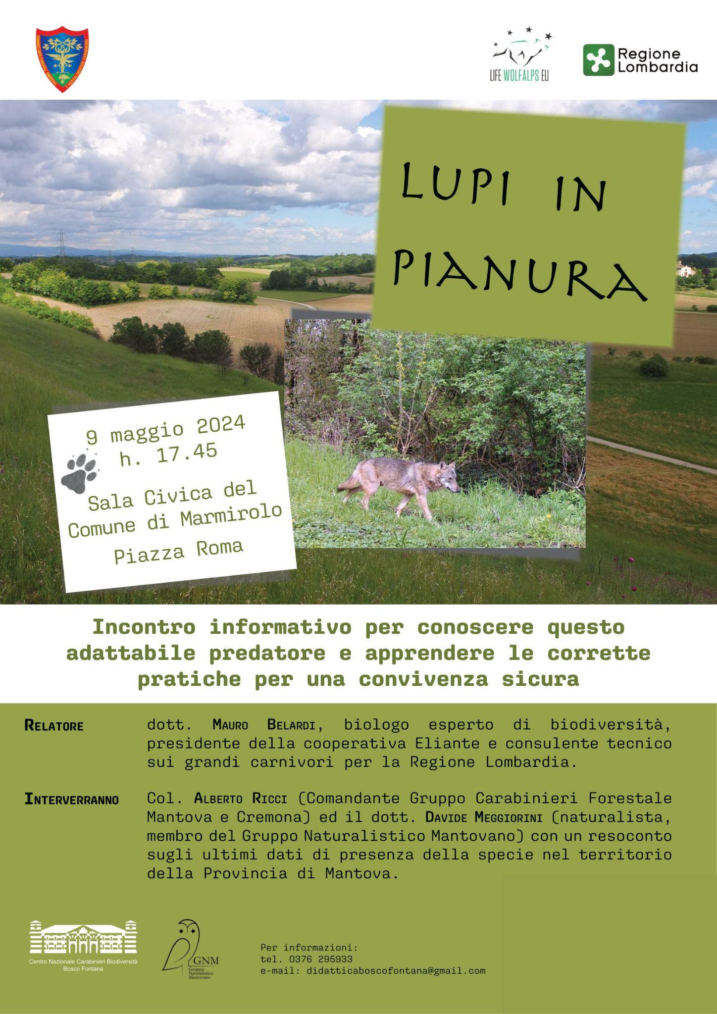 Lupi in pianura: incontro informativo